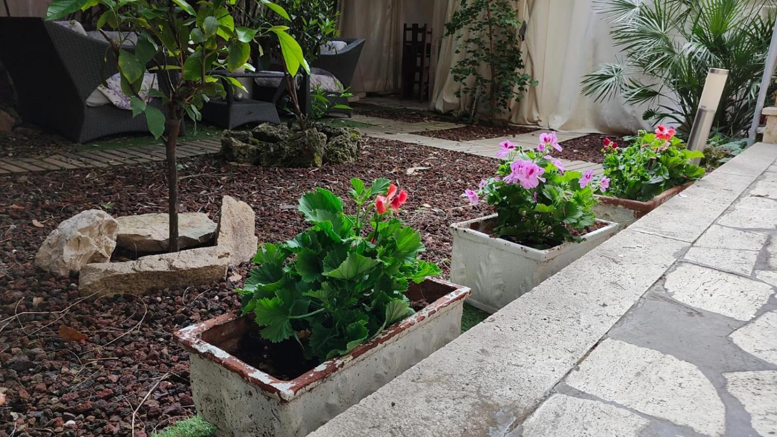 Home Garden Rome Casa Kangen Dış mekan fotoğraf